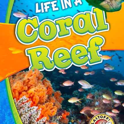 Life in a Coral Reef