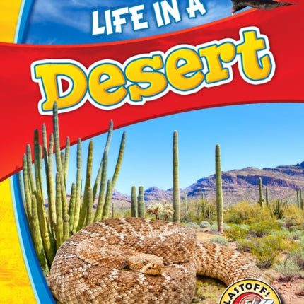 Life in a Desert