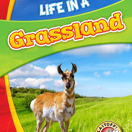 Life in a Grassland