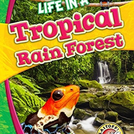 Life in a Tropical Rain Forest