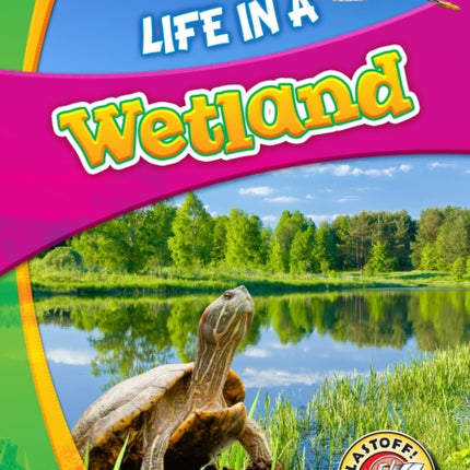 Life in a Wetland