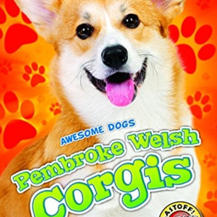 Pembroke Welsh Corgis