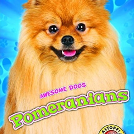 Pomeranians