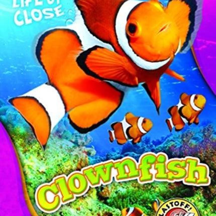 Clownfish