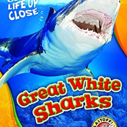 Great White Sharks