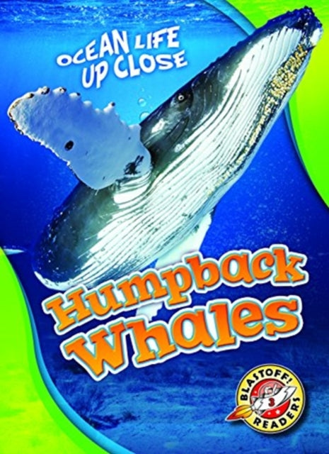 Humpback Whales