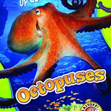 Octopuses