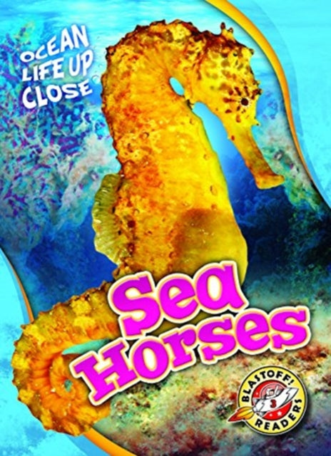 Sea Horses