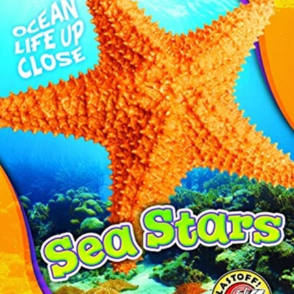 Sea Stars