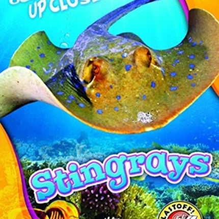 Stingrays