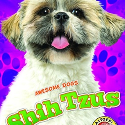 Shih Tzus