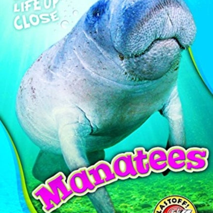 Manatees