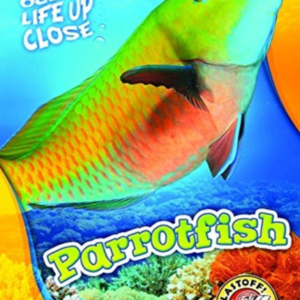 Parrotfish