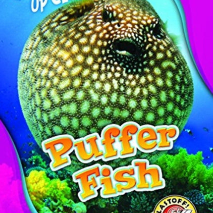 Puffer Fish