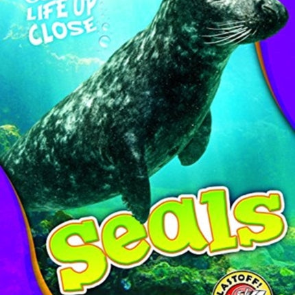 Seals