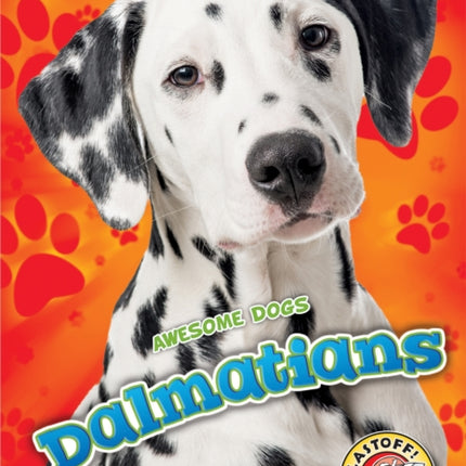 Dalmatians