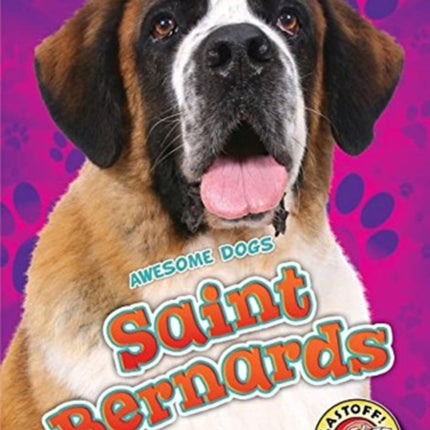 Saint Bernards