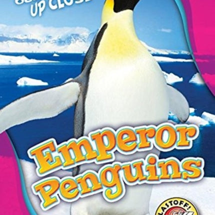 Emperor Penguins