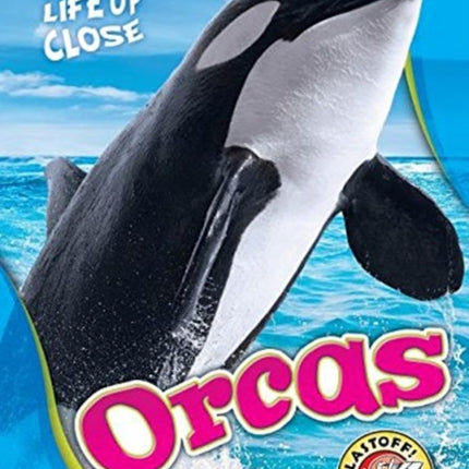 Orcas