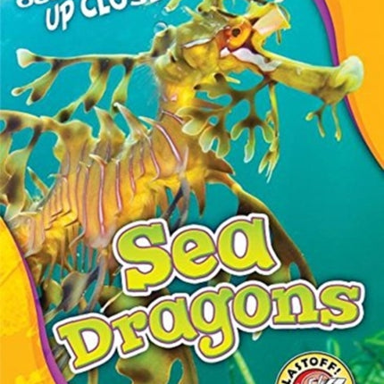 Sea Dragons