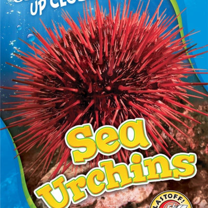 Sea Urchins