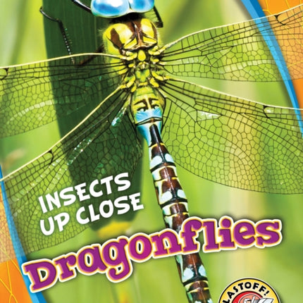 Dragonflies