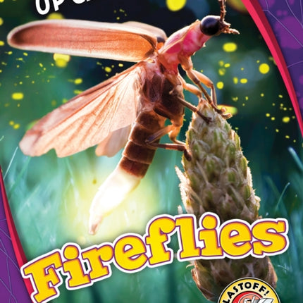 Fireflies