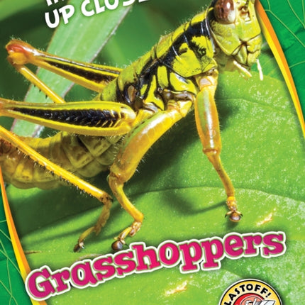 Grasshoppers