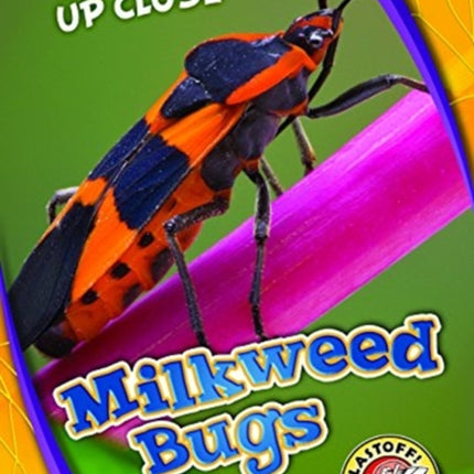 Milkweed Bugs