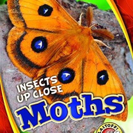 Moths