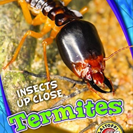 Termites