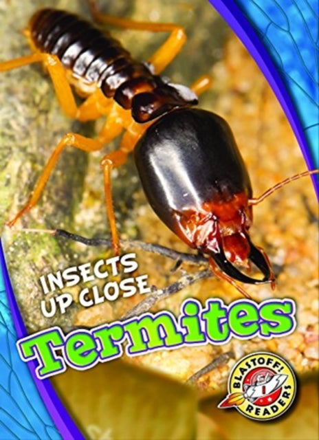 Termites