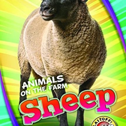 Sheep