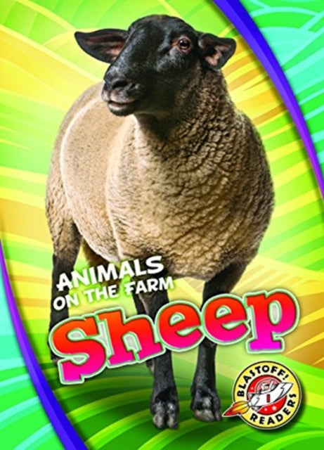 Sheep