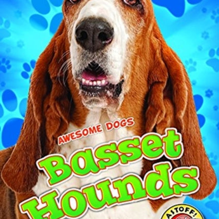 Basset Hounds