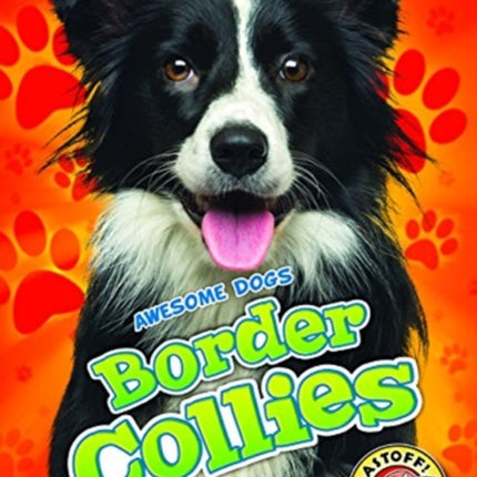 Border Collies