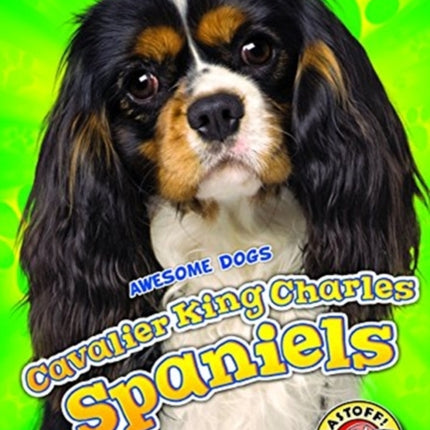 Cavalier King Charles Spaniels