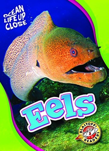 Eels