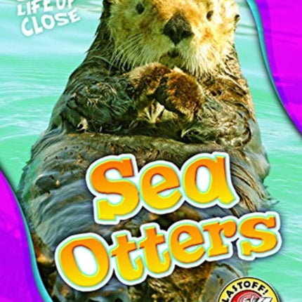 Sea Otters