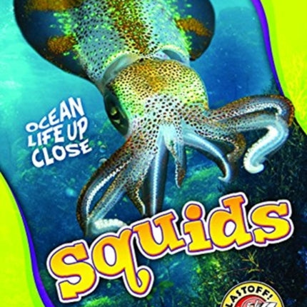 Squids