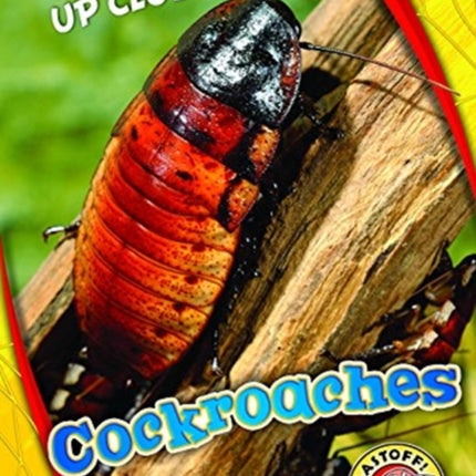 Cockroaches