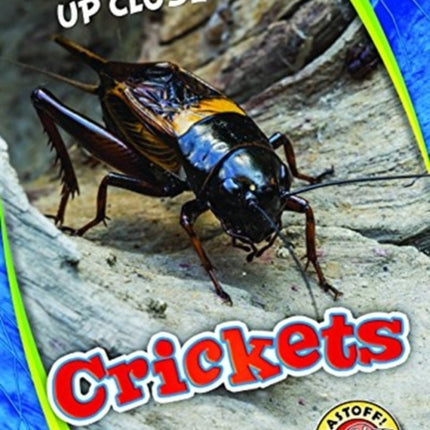 Crickets