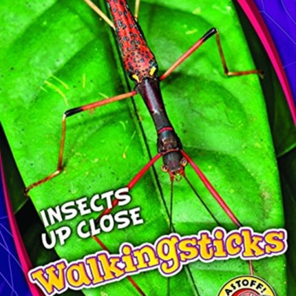 Walkingsticks