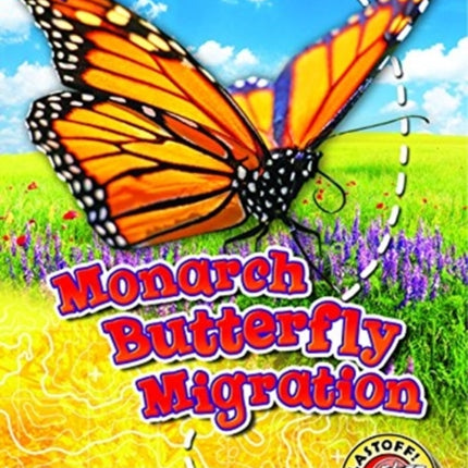 Monarch Butterfly Migration