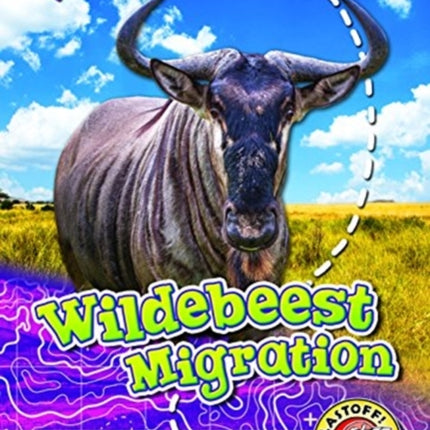 Wildebeest Migration