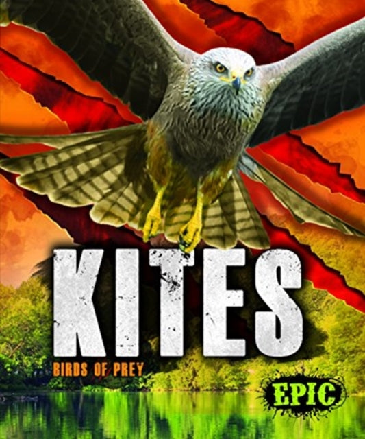 Kites: Birds of Prey