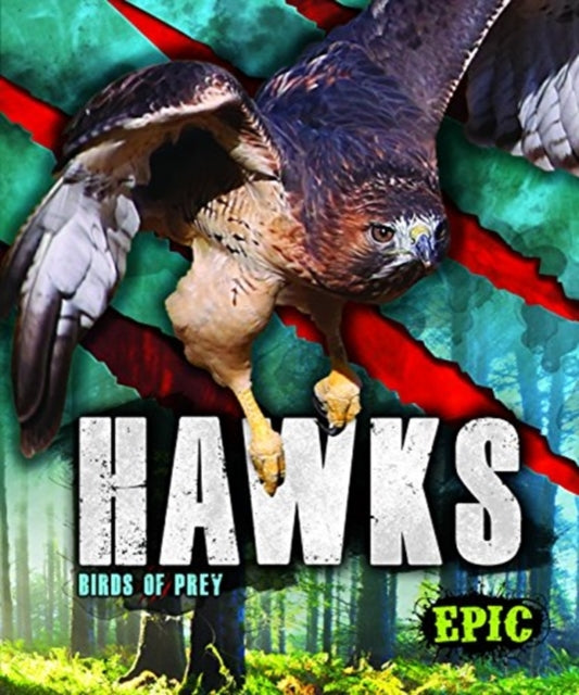 Hawks: Birds of Prey