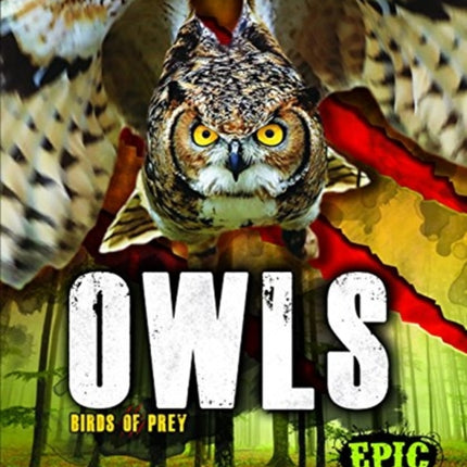 Owls