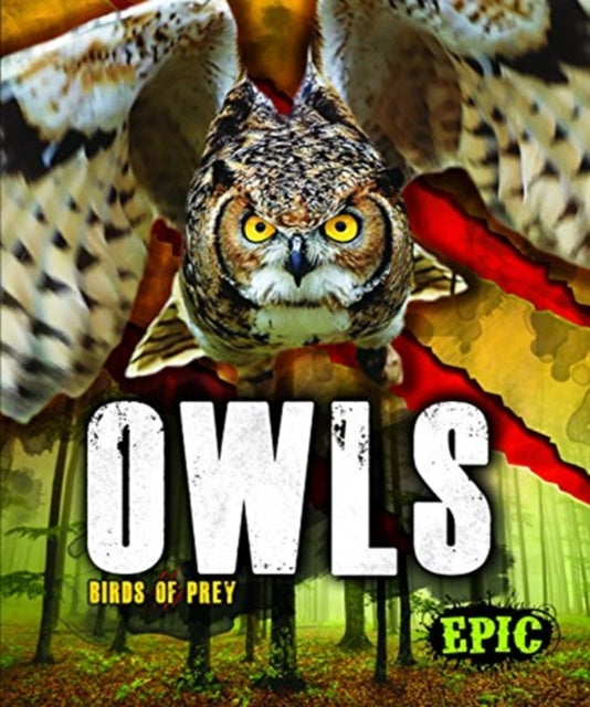 Owls