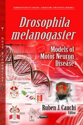 Drosophila Melanogaster Models of Motor Neuron